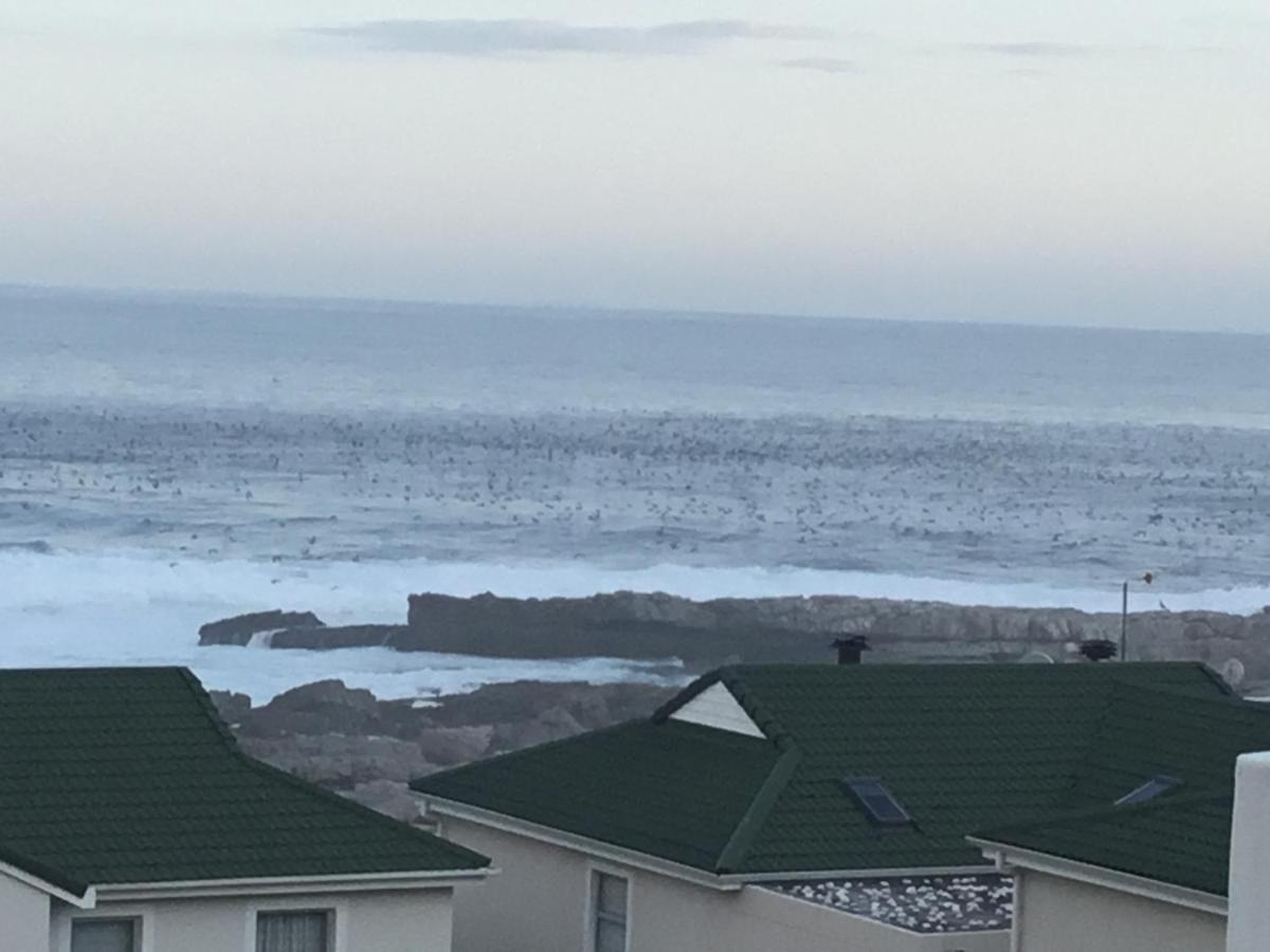 Appartement 43 Whale Rock Estate à Hermanus Extérieur photo